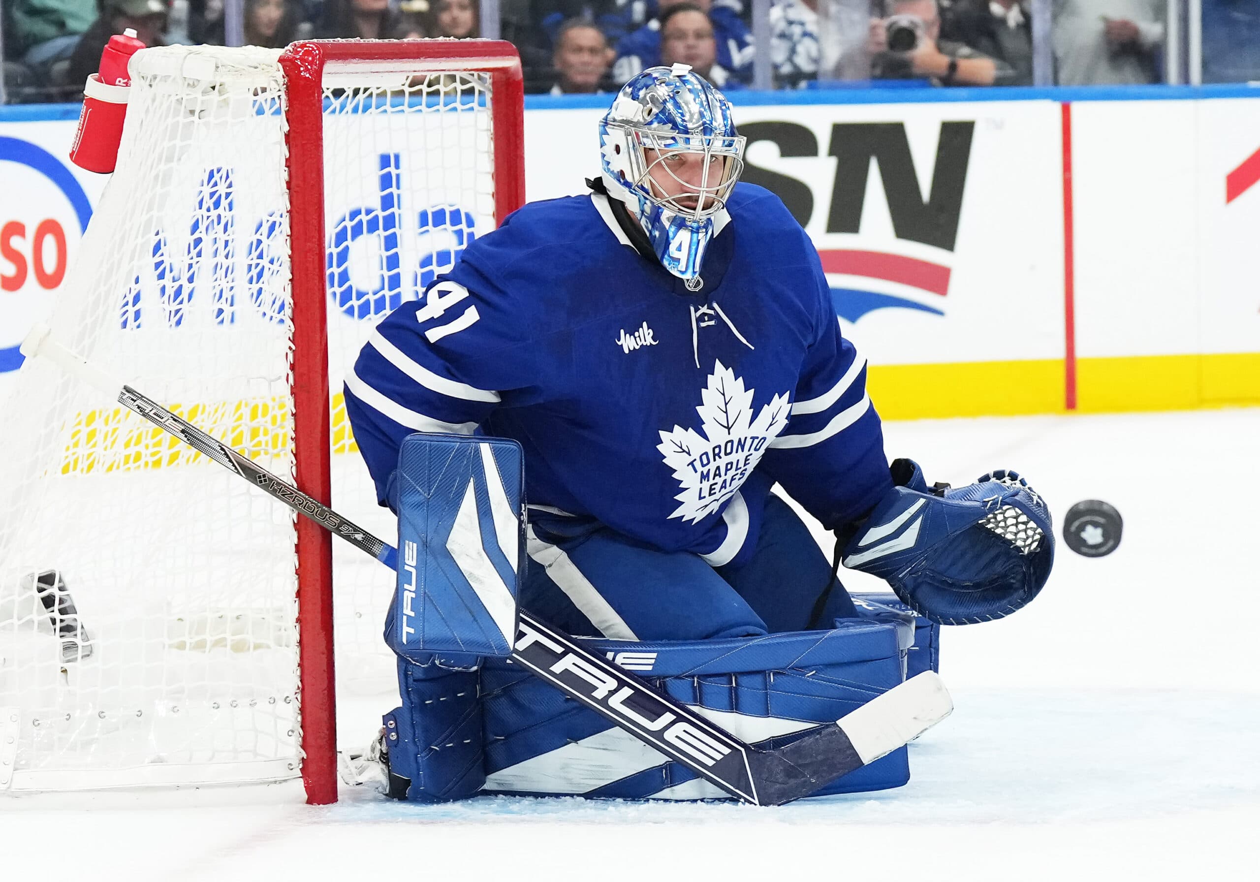 Toronto Maple Leafs goalie Anthony Stolarz.